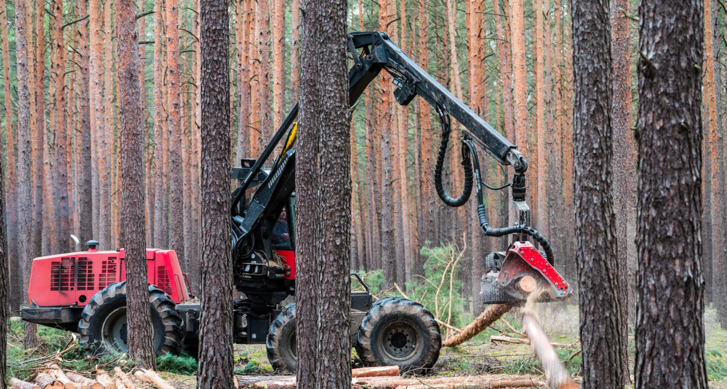 Harvesting & Timber Sales